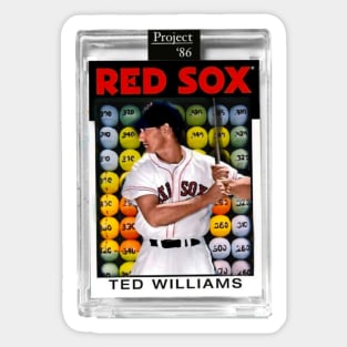 Teddy’s Ballgame Sticker